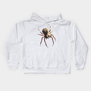 Bridge Orb-Weaver Spider Kids Hoodie